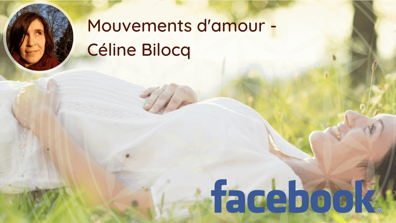 Facebook Mouvement d'Amour Celine Bilocq